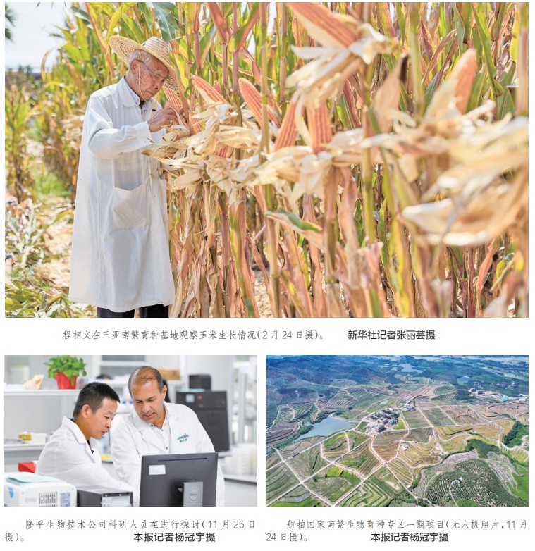 “一粒種子改變一個世界” 記北緯十八度上的“追光”者