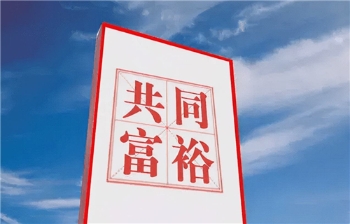 促進全體人民共同富裕  抓住為人民謀幸福的著力點