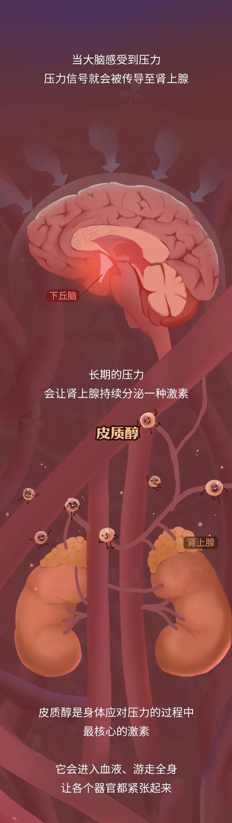工作使人胖，越努力越容易胖