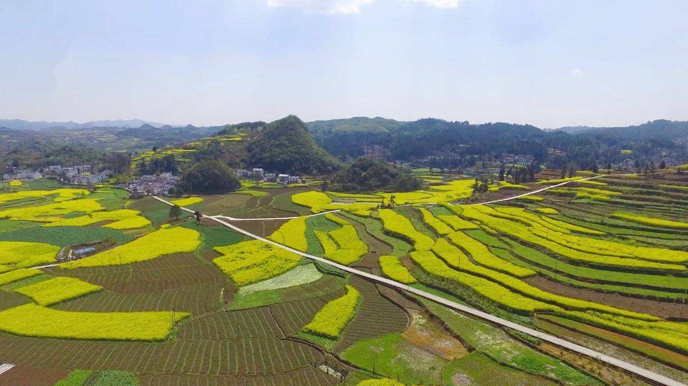 探索基層社會治理數(shù)字化新模式