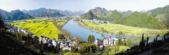以咬定青山不放松的執(zhí)著奮力推進(jìn)鄉(xiāng)村治理
