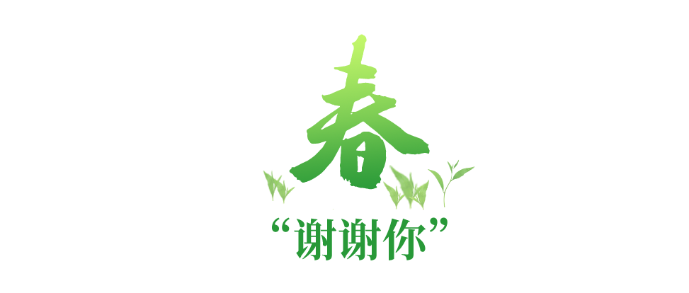 學(xué)習(xí)故事會(huì)丨深情滿四季，關(guān)懷暖人心