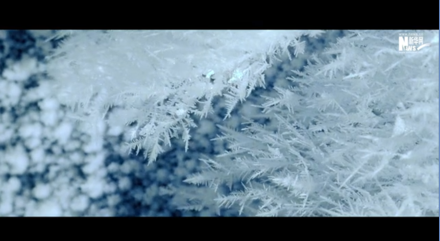 一起向未來(lái) | 冰雪里的奧義