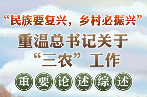 “民族要復(fù)興，鄉(xiāng)村必振興”重溫總書記關(guān)于“三農(nóng)”工作重要論述綜述