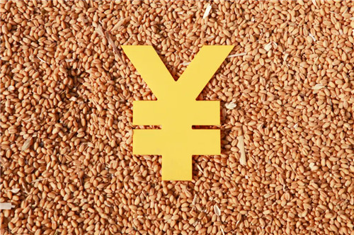 糧價(jià)攀升、食品價(jià)格上漲，多國(guó)打響“糧食保衛(wèi)戰(zhàn)”