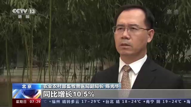 農業(yè)農村部：生豬生產供給充足，價格仍將持續(xù)下行