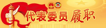全國人大代表李莉：一根拐杖“跑出”近50萬字建議和議案