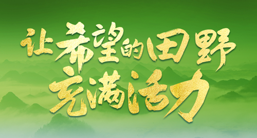 讓希望的田野充滿活力——從全國兩會看鄉(xiāng)村振興發(fā)力點(diǎn)