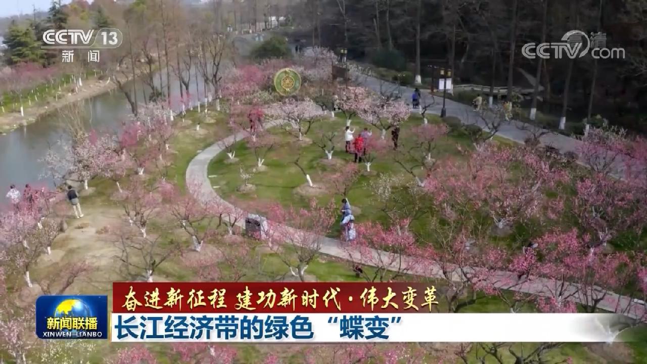 【奮進(jìn)新征程 建功新時(shí)代·偉大變革】長江經(jīng)濟(jì)帶的綠色“蝶變”