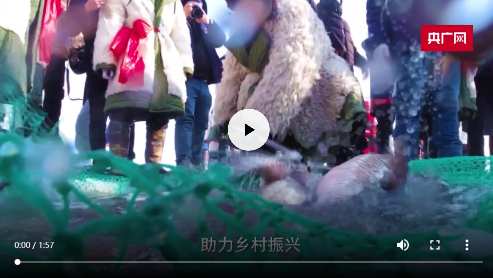 冬奧之火點亮中國 從冬到春熱“雪”沸騰