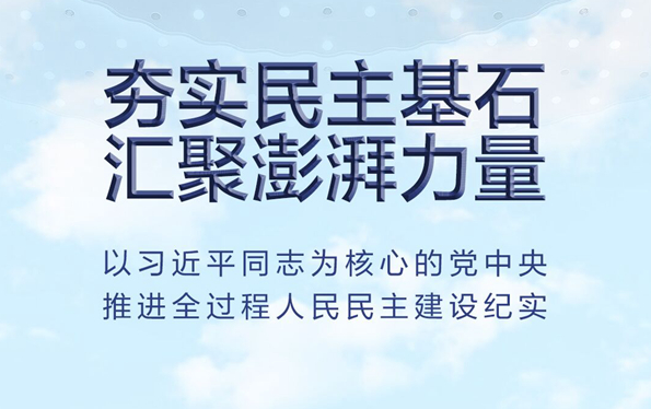 夯實(shí)民主基石 匯聚澎湃力量——以習(xí)近平同志為核心的黨中央推進(jìn)全過(guò)程人民民主建設(shè)紀(jì)實(shí)