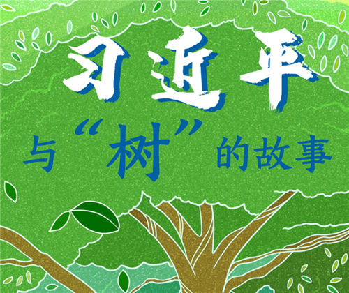 習(xí)近平與“樹”的故事