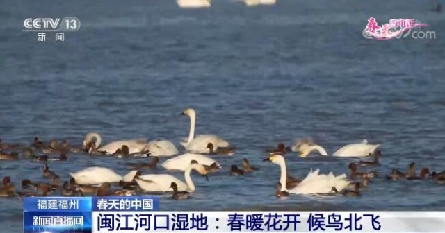 春天的中國生機盎然 祖國多地呈現出絕美的春日景象