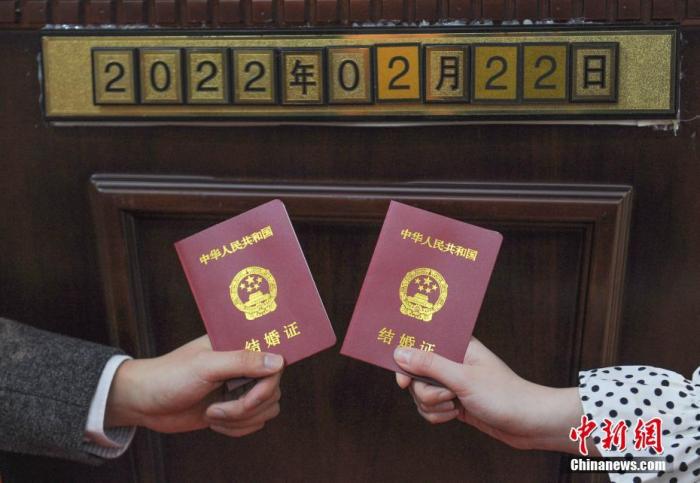 你還單身？別急，代表委員們正幫你想辦法！