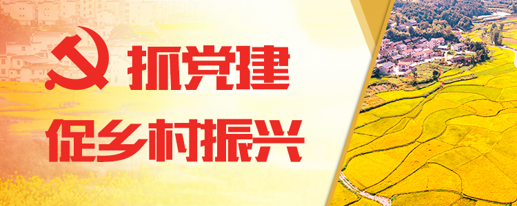 【奮進新征程 建功新時代】奮力續(xù)寫鄉(xiāng)村振興新篇章