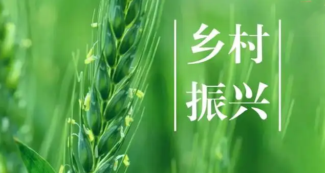 民政部、國(guó)家鄉(xiāng)村振興局印發(fā)通知 動(dòng)員引導(dǎo)社會(huì)組織參與鄉(xiāng)村振興工作