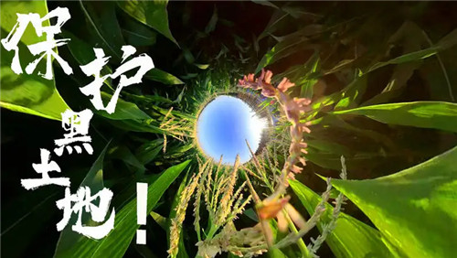 黑土地“姓農(nóng)”——全國人大常委會繼續(xù)審議黑土地保護法草案