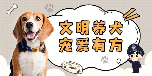 聊城“電子犬證”上線！趕快給狗狗領(lǐng)取“身份證”