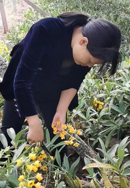 我們正青春丨把青春獻給鄉(xiāng)村 讓夢想扎根土地
