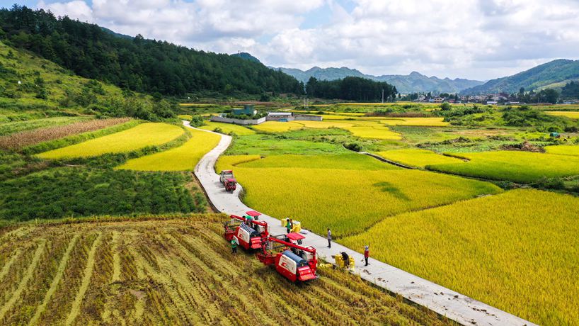 從“選優(yōu)派強”到“管訓促用” 駐村幫扶機制繼續(xù)夯實