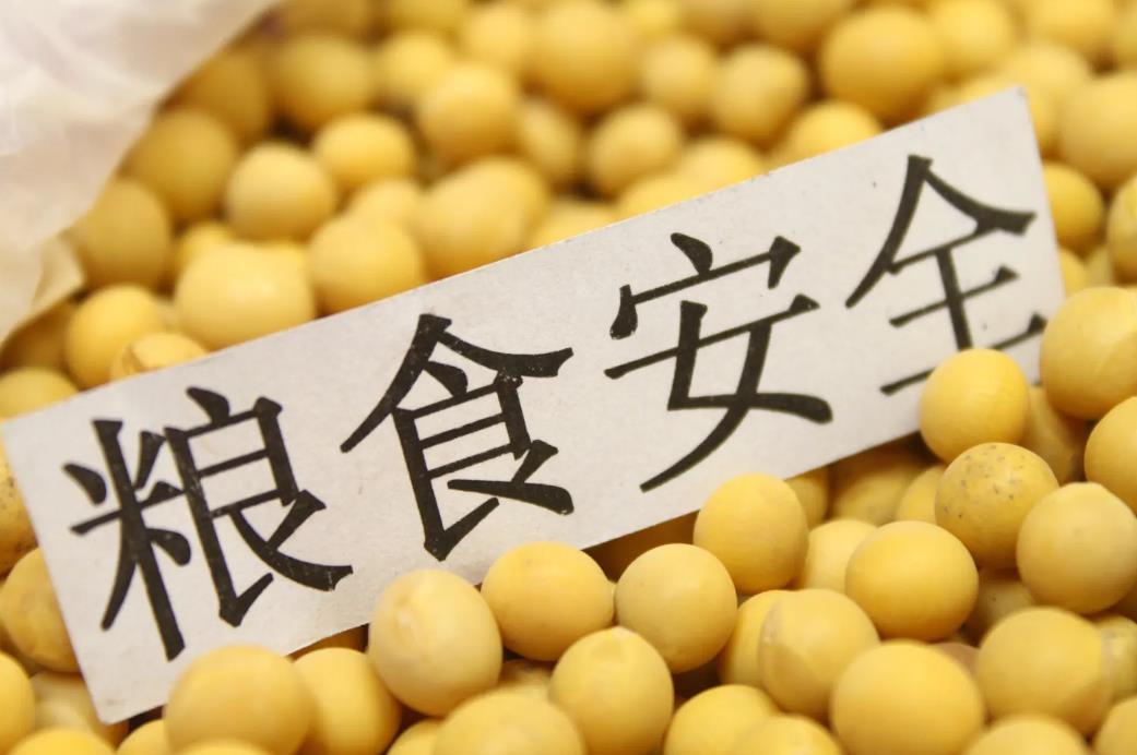 各地踐行大食物觀，更好滿足人民群眾日益多元化的食物消費需求——  守護“舌尖上的幸?！保▋A聽·關注糧食安全）
