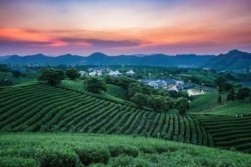 擦亮勞務(wù)品牌 拓寬致富門(mén)路（傾聽(tīng)·鄉(xiāng)村振興新動(dòng)能）