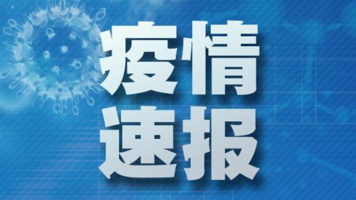 世衛(wèi)組織：全球累計(jì)新冠確診病例達(dá)516476402例