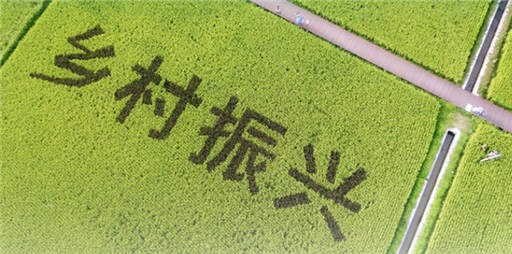看圖學(xué)習(xí)丨跟總書(shū)記共繪鄉(xiāng)村振興壯美畫(huà)卷