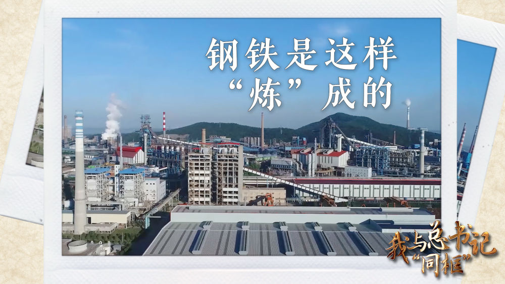 我與總書記“同框”丨鋼鐵是這樣“煉”成的