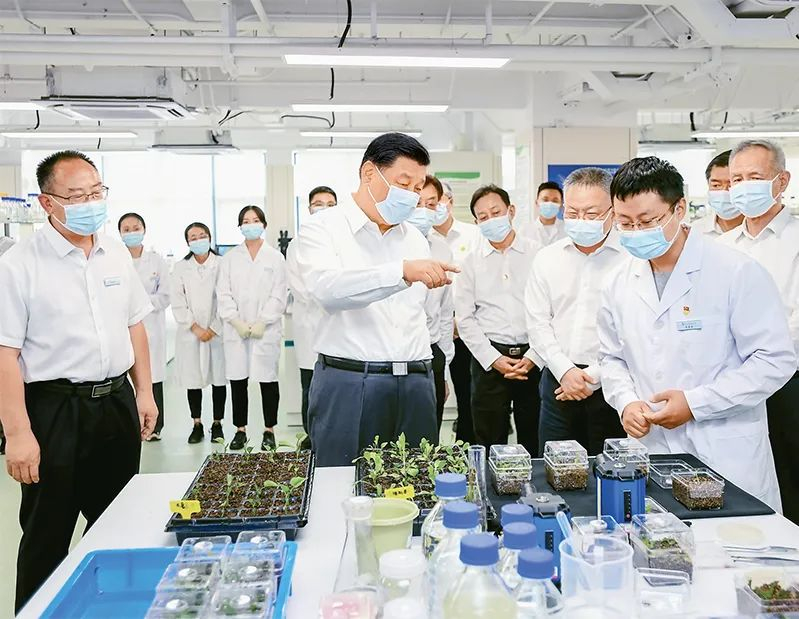 習(xí)近平：下決心把民族種業(yè)搞上去