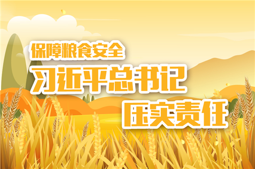 大國(guó)“糧”策|保障糧食安全，習(xí)近平總書(shū)記壓實(shí)責(zé)任