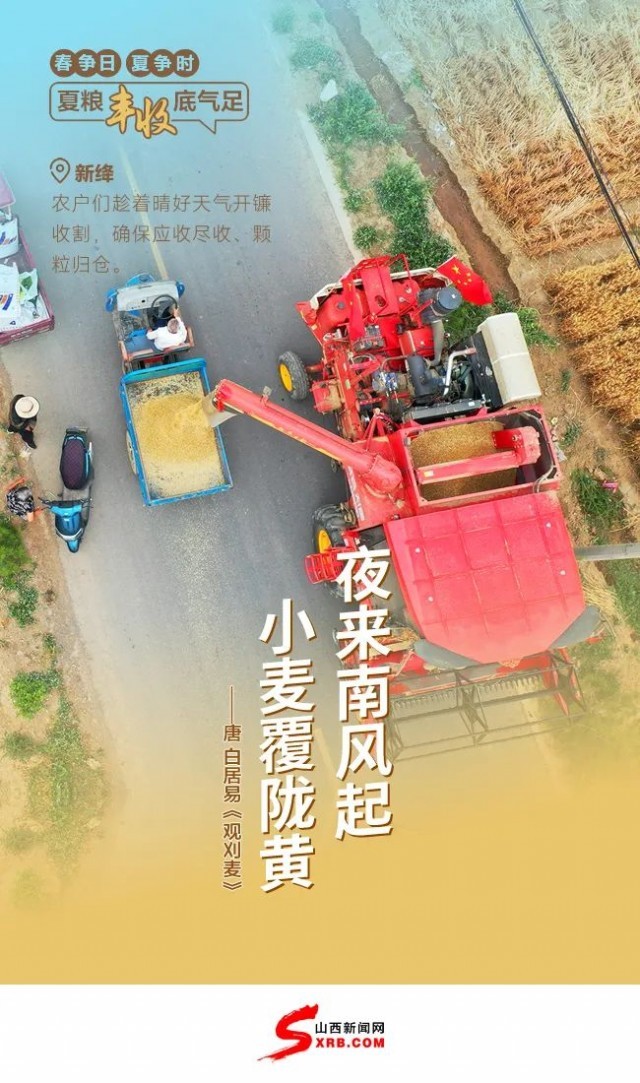 大國(guó)“糧”策｜夏糧迎豐收 麥香盈滿倉(cāng)！