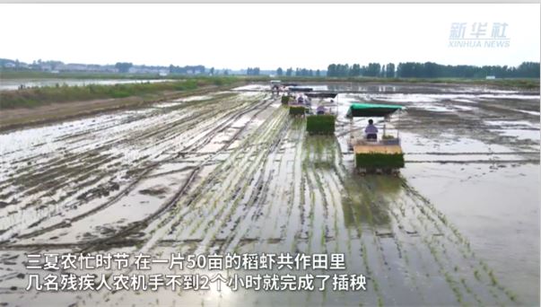 新華全媒+｜“特殊”農(nóng)機(jī)服務(wù)隊(duì) 三夏時(shí)節(jié)奔波忙