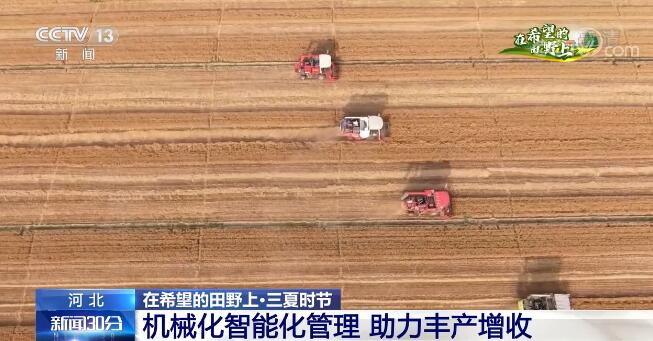 大國“糧”策 | 河北3350萬畝小麥從南到北陸續(xù)收獲
