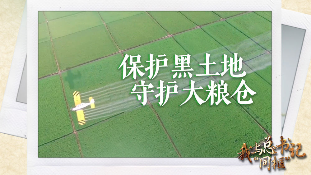 我與總書記“同框”丨保護(hù)黑土地 守護(hù)大糧倉