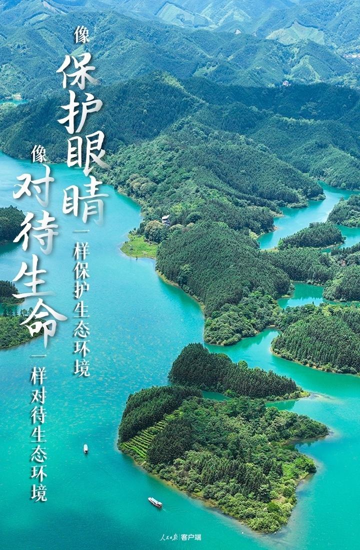 守護美麗中國，重溫習(xí)近平的這些金句