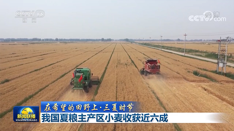 【在希望的田野上·三夏時(shí)節(jié)】我國(guó)夏糧主產(chǎn)區(qū)小麥?zhǔn)斋@近六成