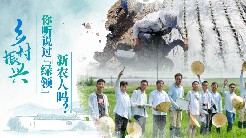 鄉(xiāng)村振興|你聽說過“綠領(lǐng)”新農(nóng)人嗎？