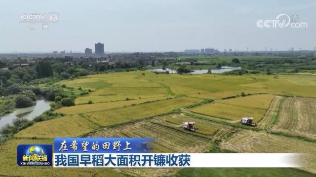【在希望的田野上】我國(guó)早稻大面積開(kāi)鐮收獲