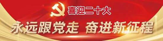 山東共青團不斷增強引領(lǐng)力、組織力、服務力 “三力”激發(fā)青春勢能