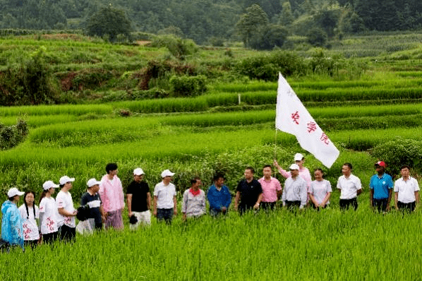 中國農(nóng)大學(xué)子：田間地頭走“硒”望之路