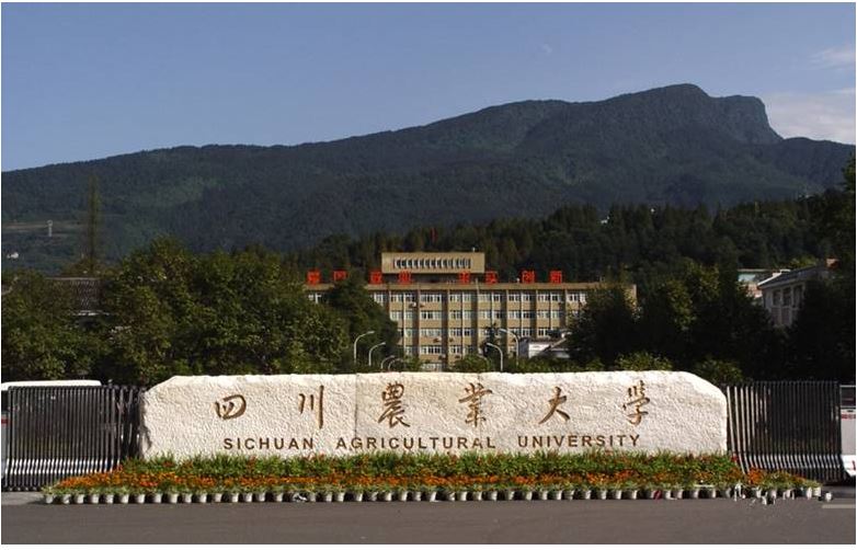 四川農(nóng)業(yè)大學(xué)學(xué)子暑期走進(jìn)農(nóng)村 厚植“三農(nóng)”情懷 賦能鄉(xiāng)村振興