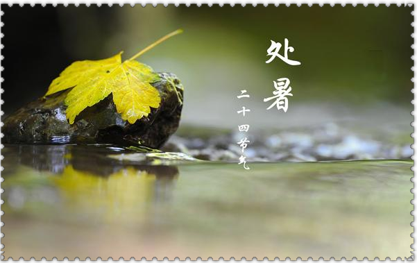 二十四節(jié)氣藥膳養(yǎng)生記丨處暑涼蛩鳴砌下，炊香撩動口腹美