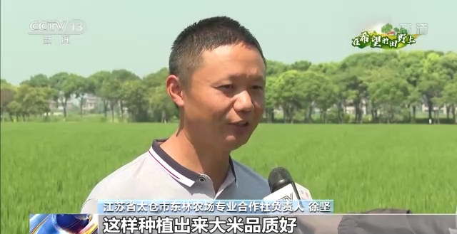 全國秋糧正陸續(xù)成熟 各地優(yōu)化品種結(jié)構(gòu) 促進(jìn)糧食豐產(chǎn)農(nóng)民增收