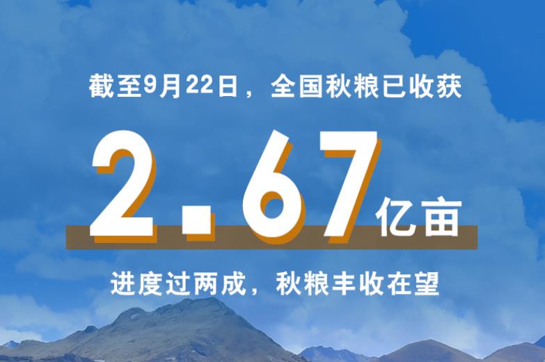 共慶好收成！一組數(shù)字描繪豐收里的中國(guó)