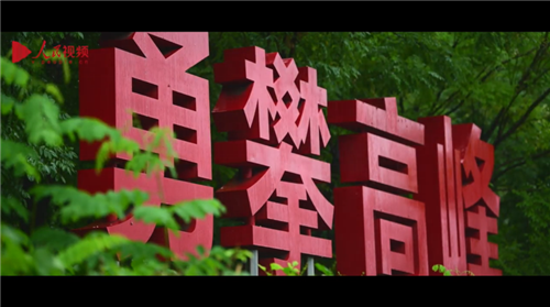 跟著總書記看中國丨百煉成鋼攀高峰