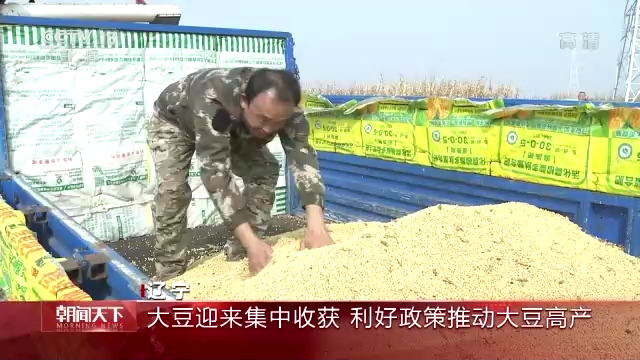 全國秋糧收獲超八成 秋冬種同步進(jìn)行