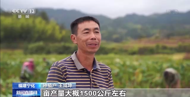 直播間開(kāi)進(jìn)果園！全國(guó)秋糧收獲近尾聲 各地多舉措助農(nóng)增收