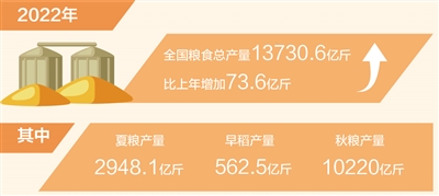 2022年全國糧食產(chǎn)量穩(wěn)中有增（新數(shù)據(jù) 新看點）