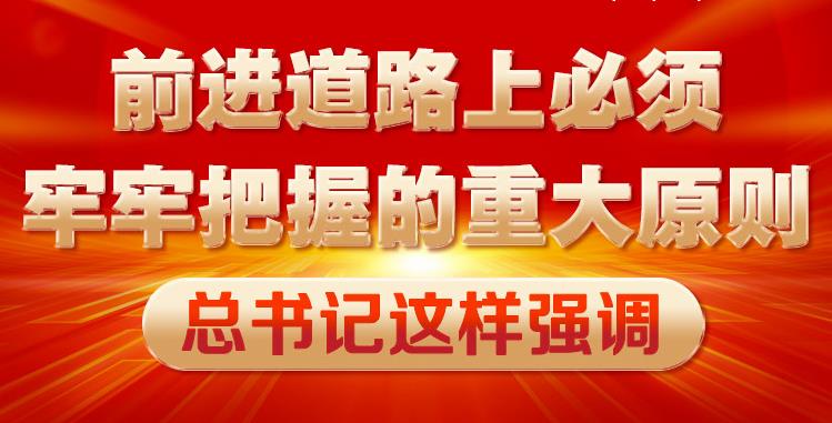 前進(jìn)道路上必須牢牢把握的重大原則 總書記這樣強調(diào)
